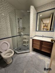 The Blossomvale (D21), Condominium #571798041